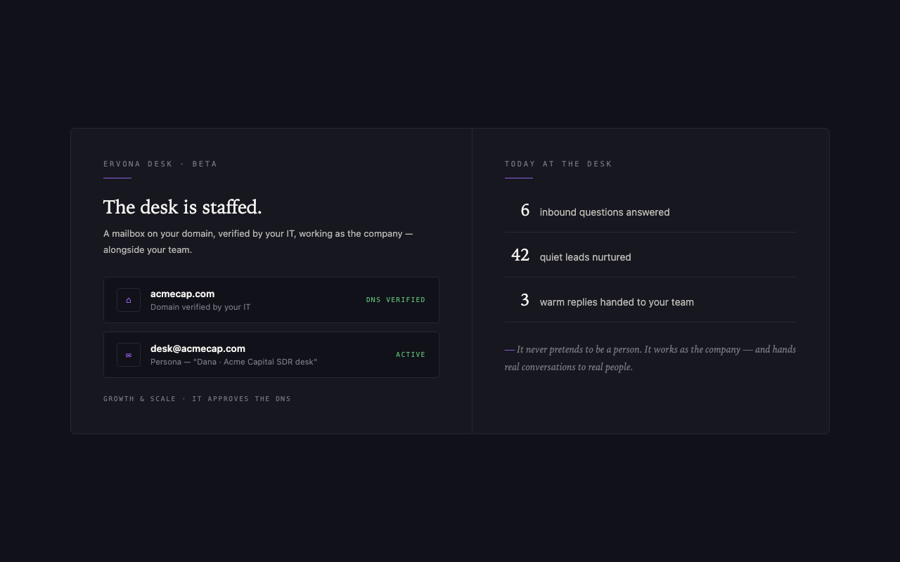 Preview of Ervona Desk: a DNS-verified domain, the desk mailbox with its persona, and today's activity